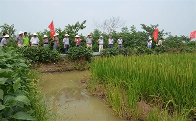 龍灣基地